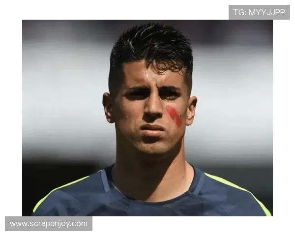 坎塞洛职业轨迹